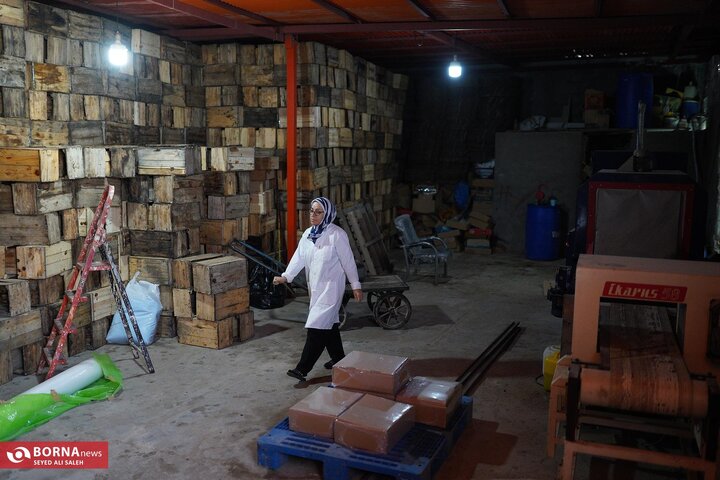 از نگاه رسانه/ طرح‌های اشتغال برکت در استان خوزستان