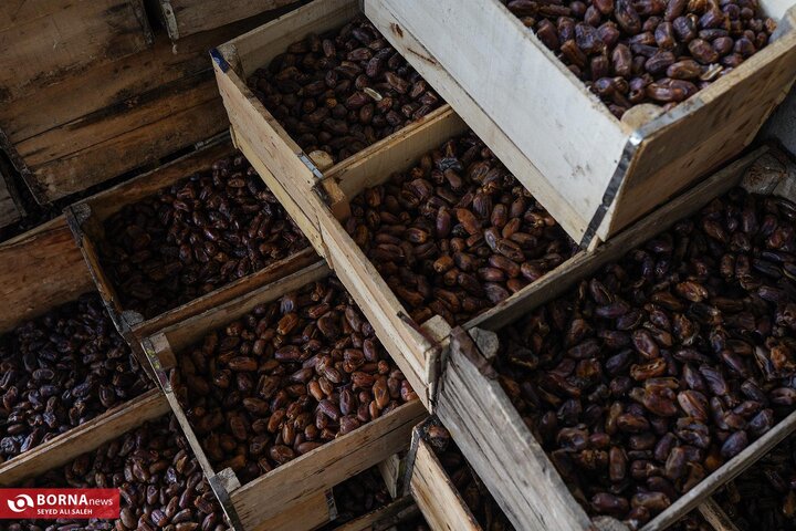 از نگاه رسانه/ طرح‌های اشتغال برکت در استان خوزستان