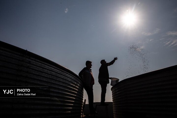 از نگاه رسانه/ طرح‌های اشتغال برکت در استان خوزستان