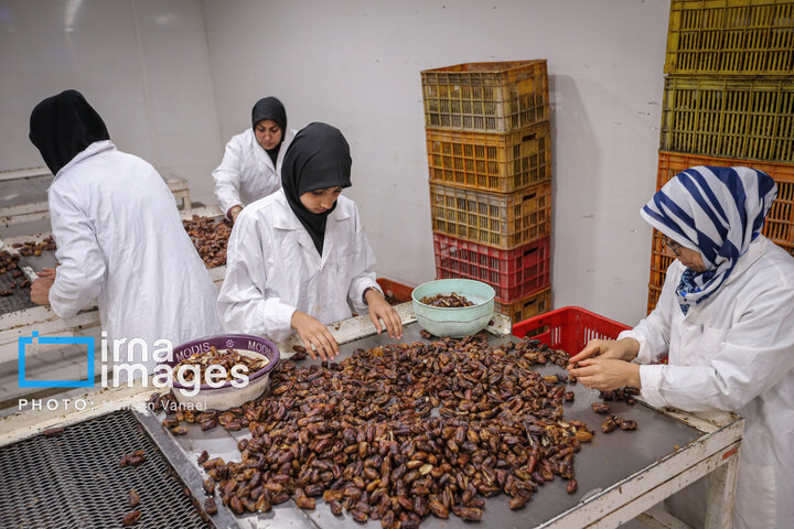 از نگاه رسانه/ طرح‌های اشتغال برکت در استان خوزستان