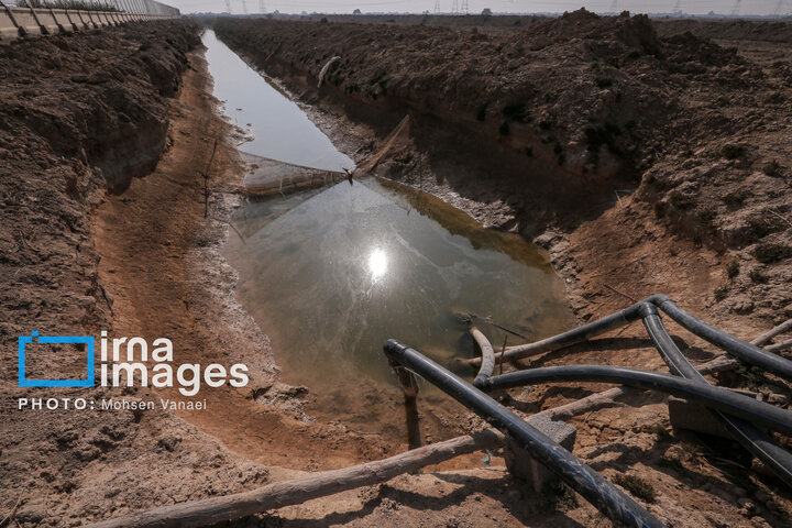 از نگاه رسانه/ طرح‌های اشتغال برکت در استان خوزستان