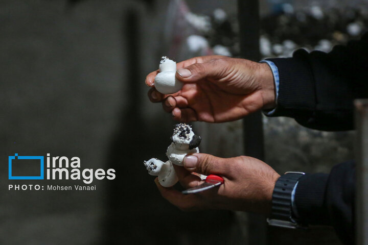 از نگاه رسانه/ طرح‌های اشتغال برکت در استان خوزستان