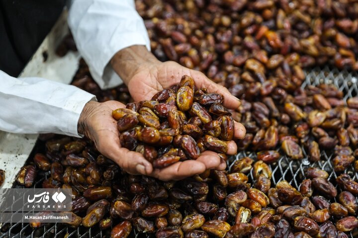 از نگاه رسانه/ طرح‌های اشتغال برکت در استان خوزستان