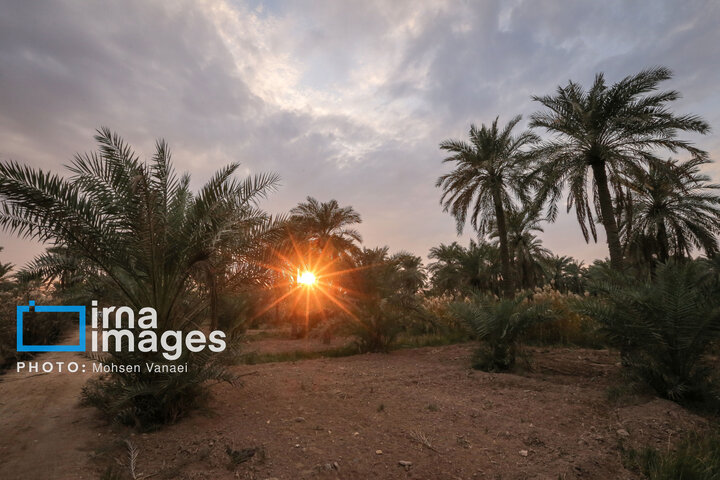 از نگاه رسانه/ طرح‌های اشتغال برکت در استان خوزستان