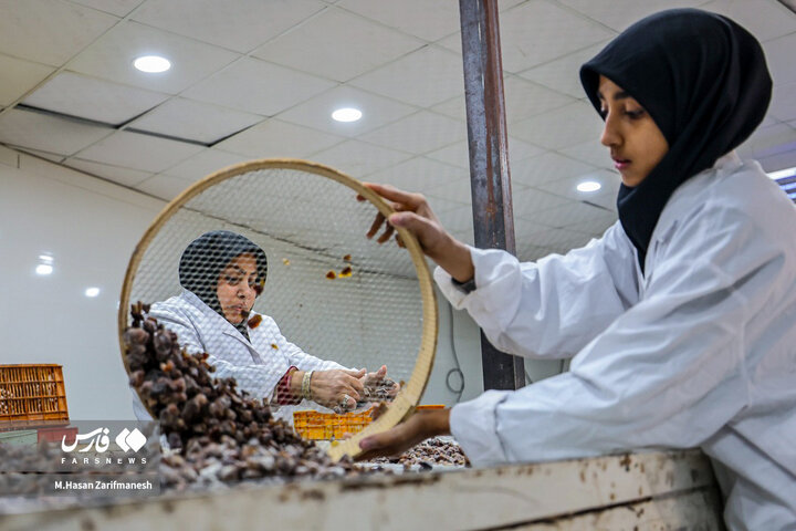 از نگاه رسانه/ طرح‌های اشتغال برکت در استان خوزستان