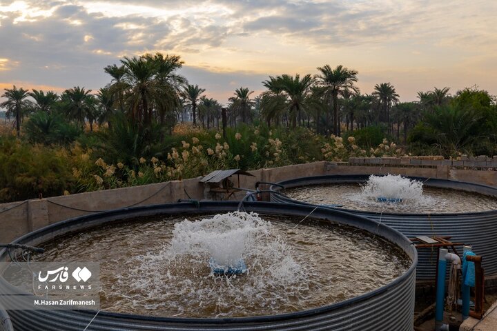 از نگاه رسانه/ طرح‌های اشتغال برکت در استان خوزستان