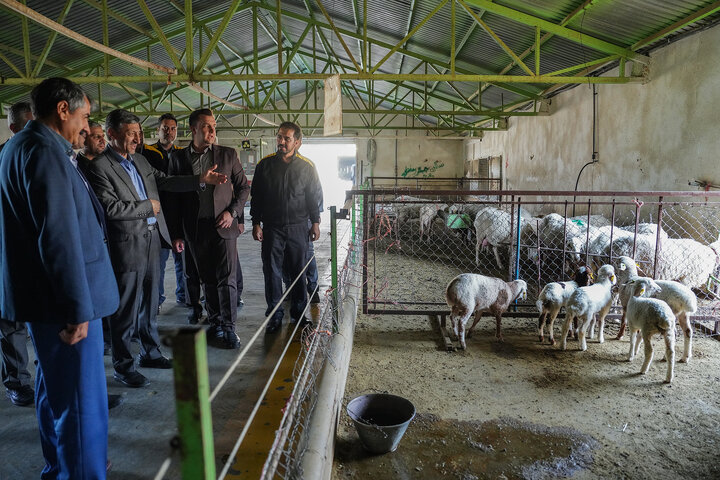 بازدید رئیس ستاد اجرایی فرمان امام از مجتمع‌های شرکت زرین کشت پایدار