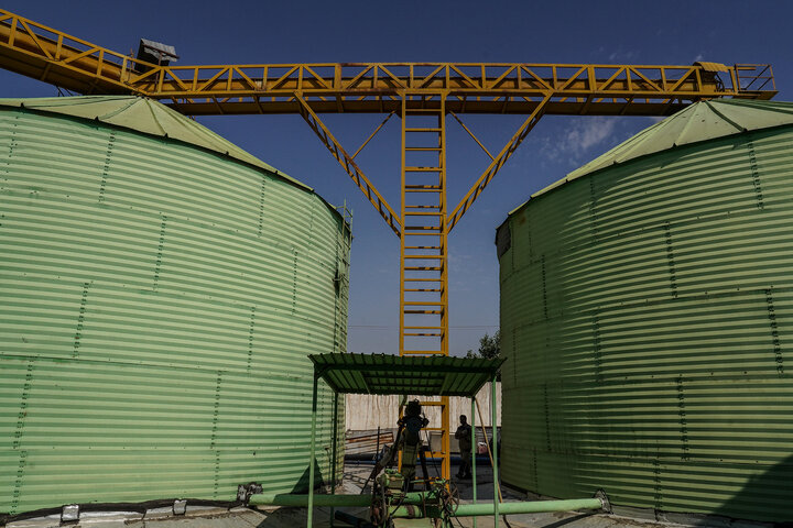 بازدید رئیس ستاد اجرایی فرمان امام از مجتمع‌های شرکت زرین کشت پایدار