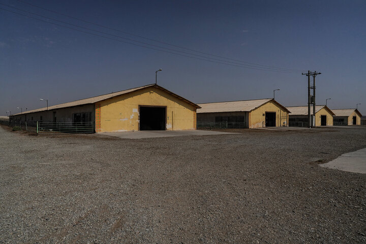 بازدید رئیس ستاد اجرایی فرمان امام از مجتمع‌های شرکت زرین کشت پایدار