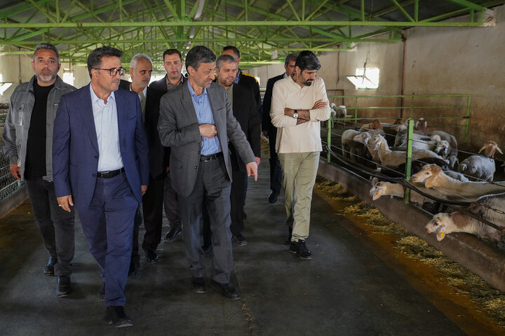 بازدید رئیس ستاد اجرایی فرمان امام از مجتمع‌های شرکت زرین کشت پایدار