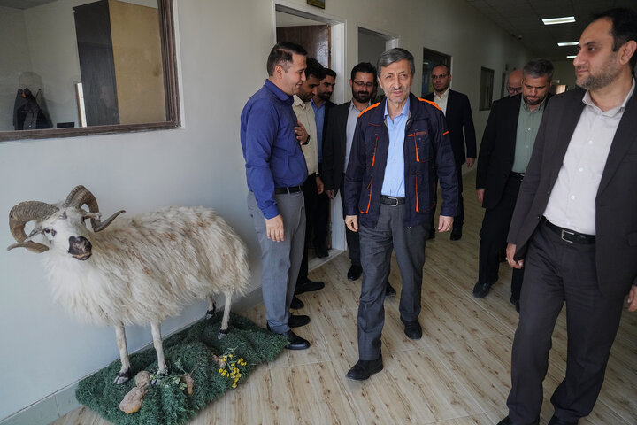 بازدید رئیس ستاد اجرایی فرمان امام از مجتمع‌های شرکت زرین کشت پایدار