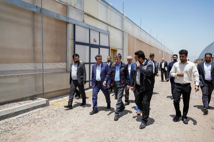 بازدید رئیس ستاد اجرایی فرمان امام از مجتمع‌های شرکت زرین کشت پایدار