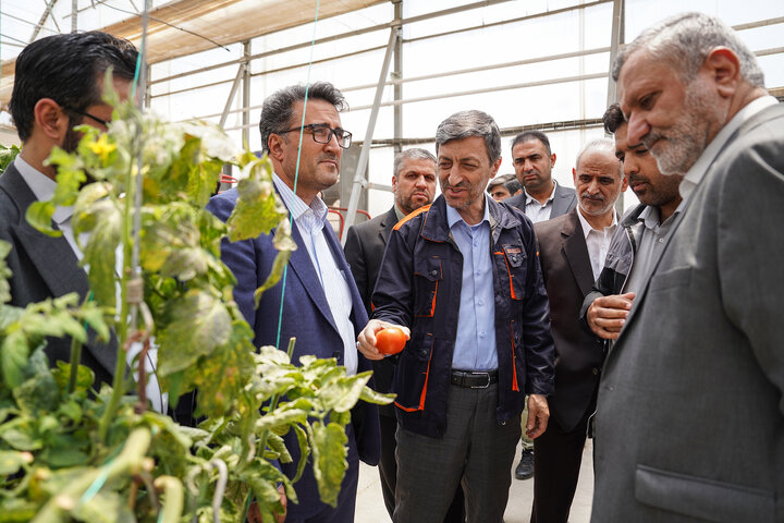 بازدید رئیس ستاد اجرایی فرمان امام از مجتمع‌های شرکت زرین کشت پایدار