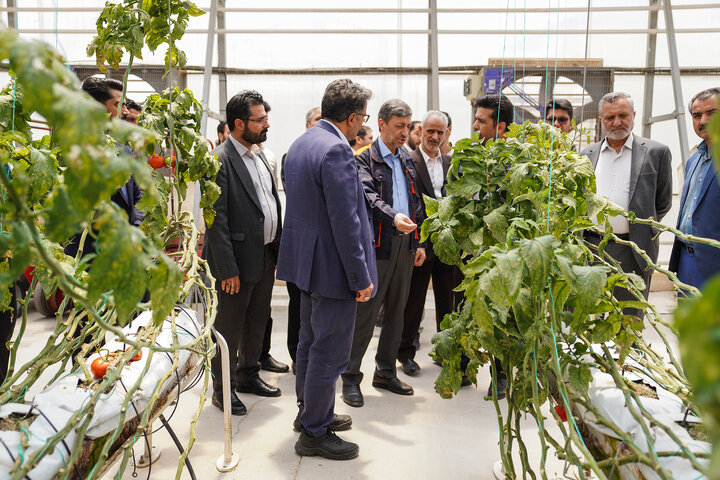 بازدید رئیس ستاد اجرایی فرمان امام از مجتمع‌های شرکت زرین کشت پایدار