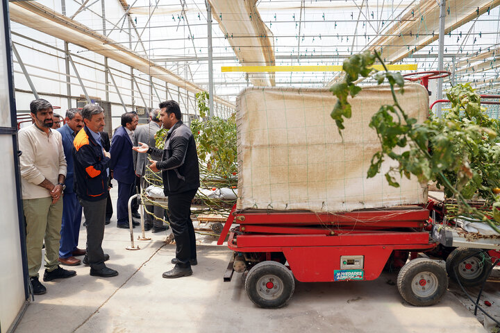بازدید رئیس ستاد اجرایی فرمان امام از مجتمع‌های شرکت زرین کشت پایدار