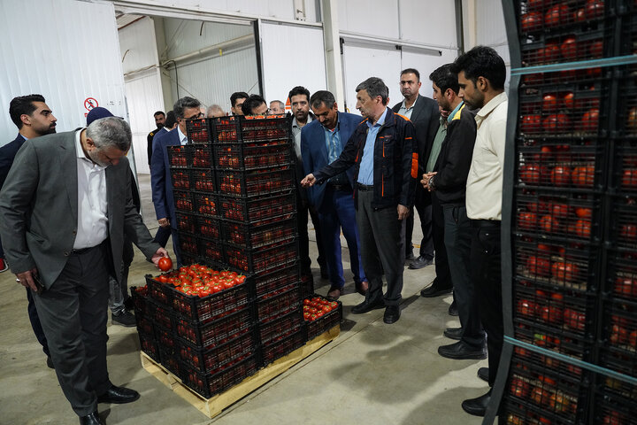 بازدید رئیس ستاد اجرایی فرمان امام از مجتمع‌های شرکت زرین کشت پایدار