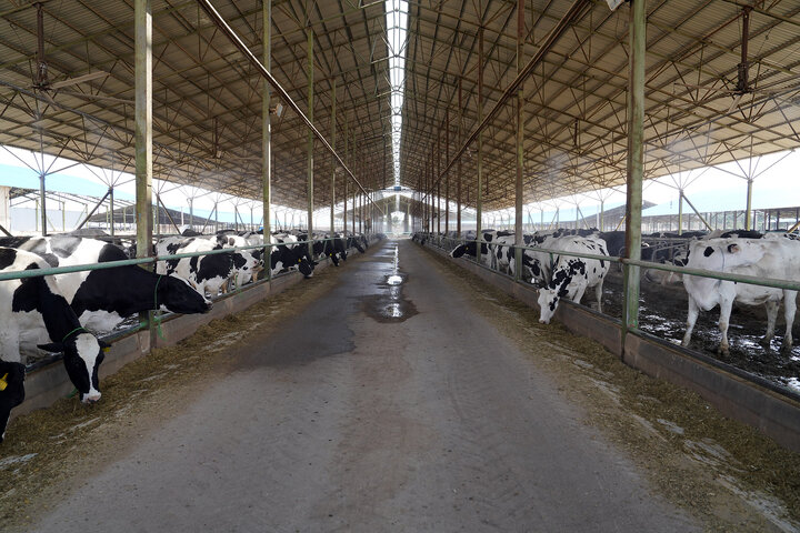 بازدید رئیس ستاد اجرایی فرمان امام از مجتمع‌های شرکت زرین کشت پایدار