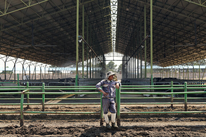بازدید رئیس ستاد اجرایی فرمان امام از مجتمع‌های شرکت زرین کشت پایدار