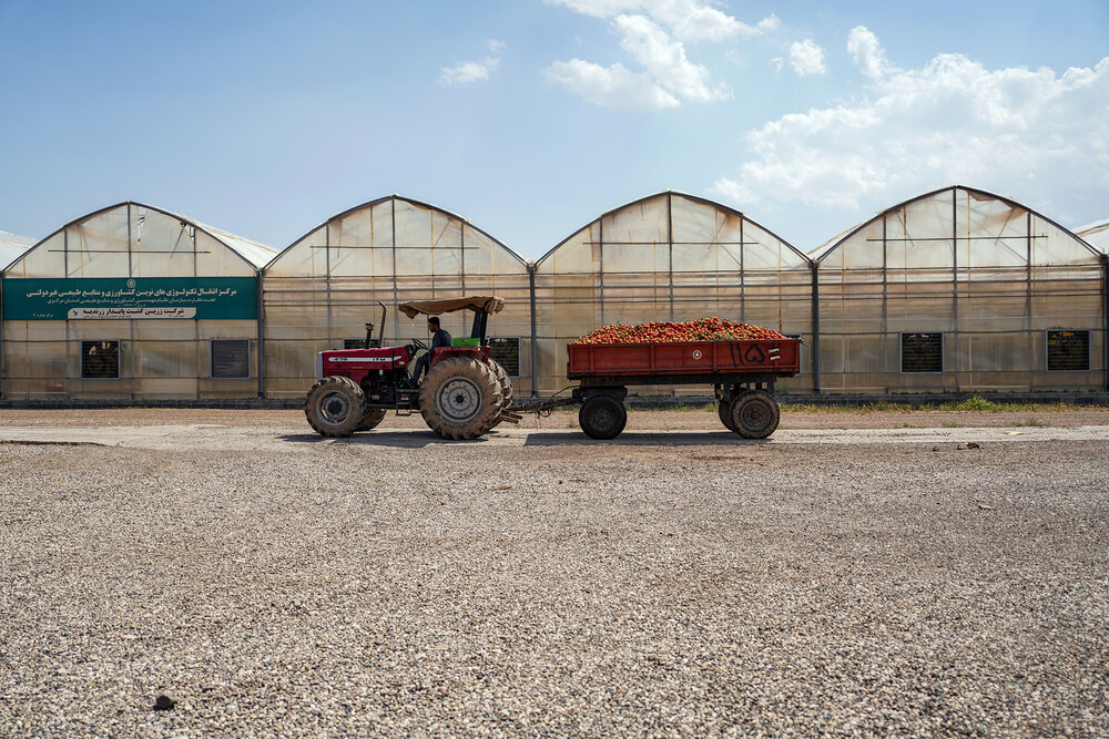 بازدید رئیس ستاد اجرایی فرمان امام از واحدهای تولیدی شرکت زرین کشت پایدار 