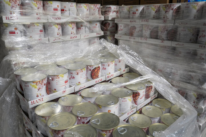 بازدید فتاح از روند خدمت‌رسانی ستاد اجرایی فرمان امام در مرز مهران