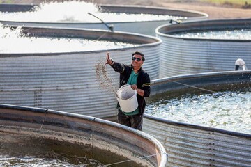 اجرای بیش از ۳۰ هزار طرح اشتغال‌زایی در مناطق محروم توسط ستاد اجرایی فرمان امام/ ایجاد زنجیره ارزش محصولات منتخب با مدل «هر روستا یک محصول»